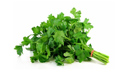 Large amounts of parsley for sale. The goods were
